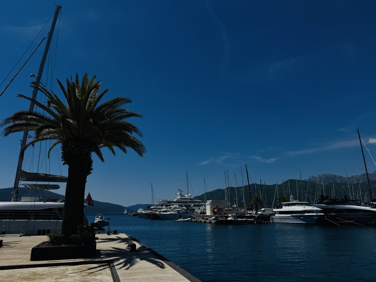 Tivat